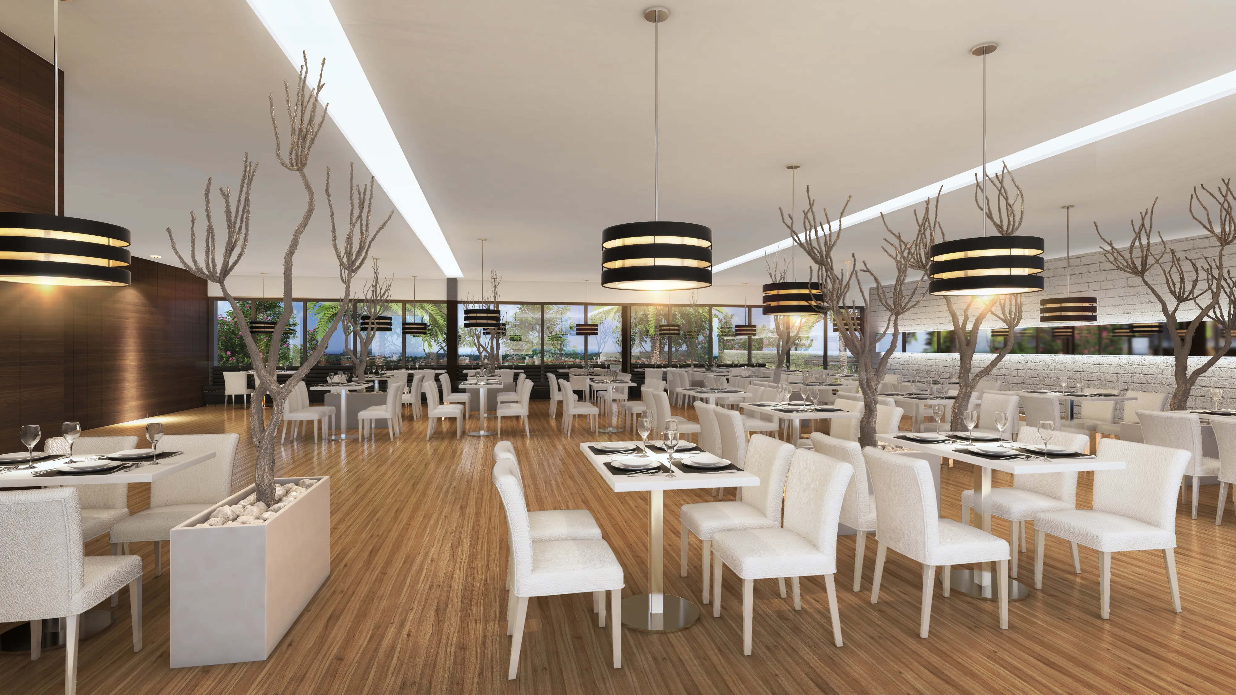 DSR The First View 14