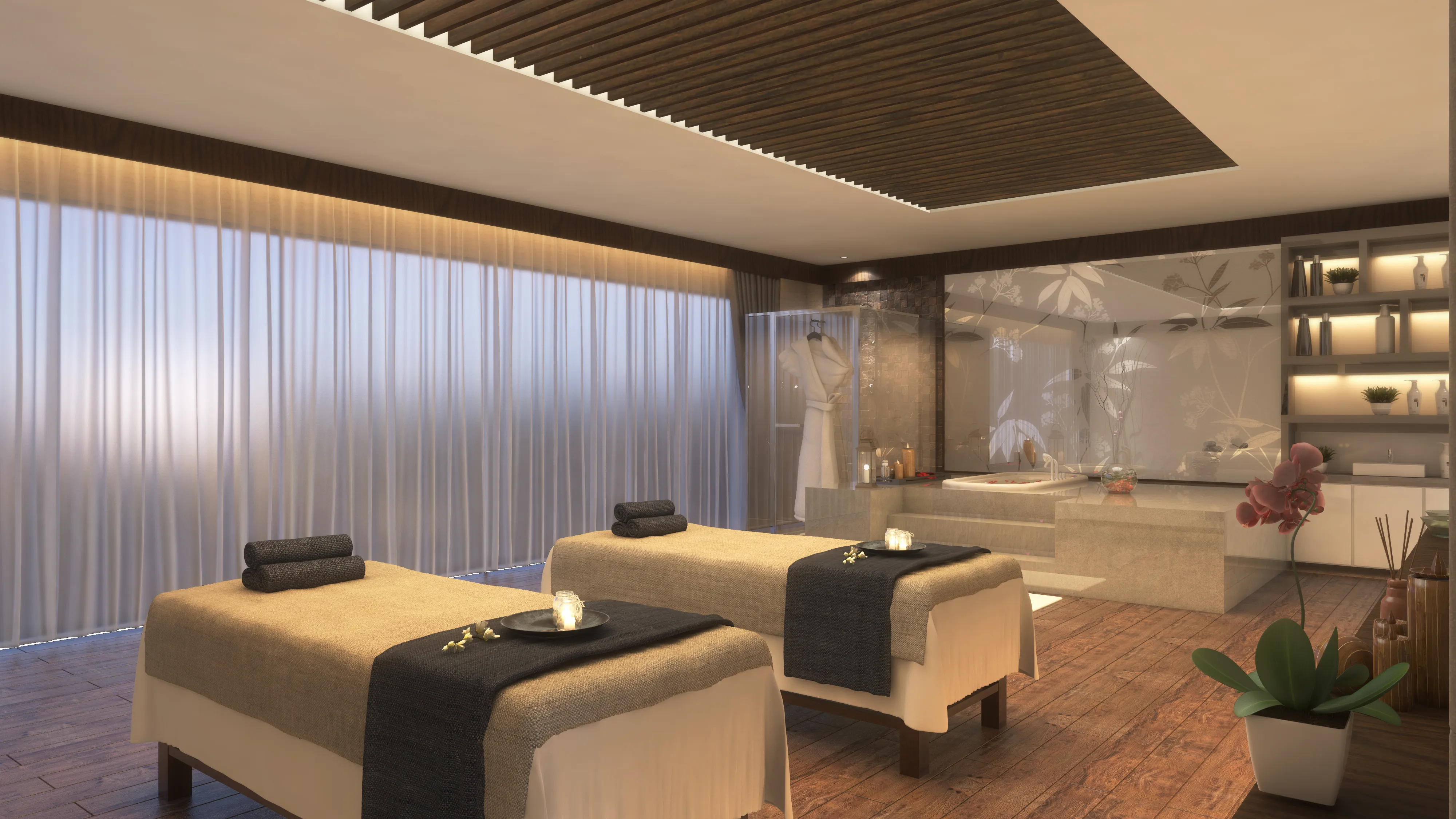 DSR The First View 2